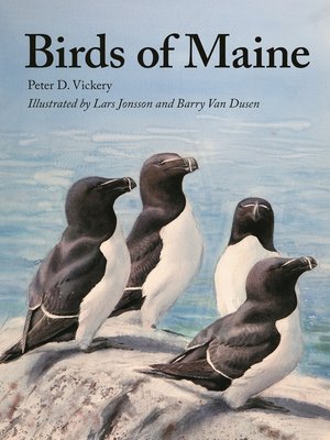 cover image of Birds of Maine
